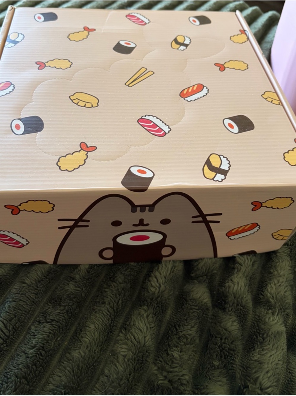 Pusheen 2026 Pet Box with 4 items never opened and 2 extra Pusheen goodies